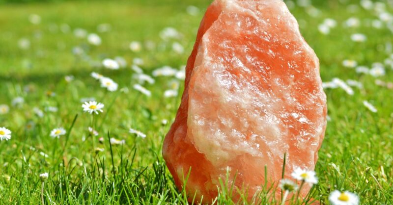 Grit Salt Suppliers